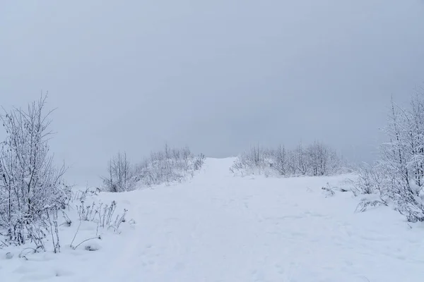 Landschap Verdwijnt Mist Van Een Sneeuwsluier Een Winter Top Van — Stockfoto