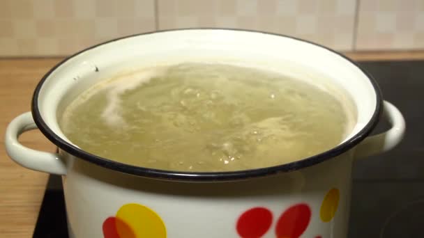 Kochendes Huhn Suppenbrühe Zeitlupe Schließen — Stockvideo