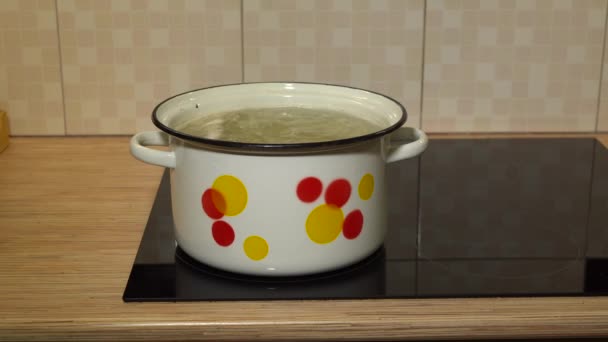 Caldo Galinha Ferve Fogão Para Uma Deliciosa Sopa Carne — Vídeo de Stock