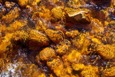 Güneşli bahar gününde akan su ve taşların arka planında geveze bir dere var.