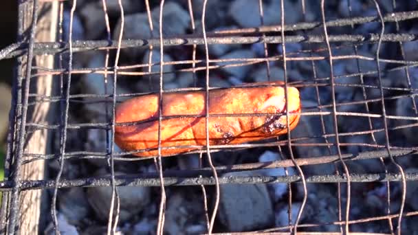 Een Worst Braden Grill Binnenplaats Warmte Verstoort Het Zicht Golven — Stockvideo