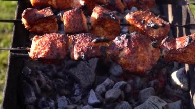 Yavaş çekimde piknik için ızgarada domuz şişi kızartıyorum.