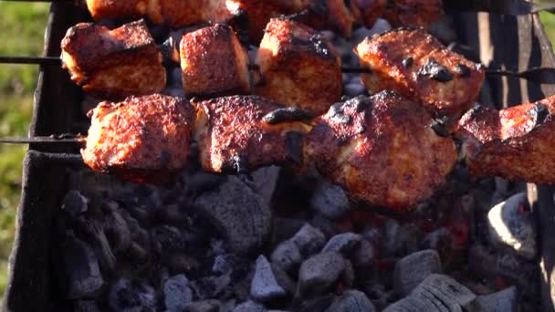 Zeitlupe Kippt Auf Spieße Mit Schweinefleisch Auf Grill Für Picknick — Stockvideo