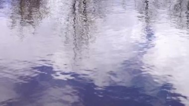 Yavaş çekim bulutların ve çalıların yansımasıyla dingin gölete doğru eğilir.