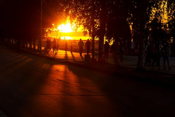 Silhuetas Pessoas Luz Pôr Sol Verão Aterro Cidade Petrozavodsk — Fotografia de Stock