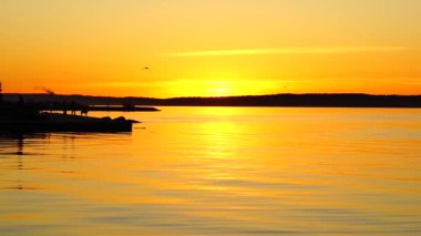 Gölde gün batımı ve martılar yavaş çekimde uçar, Petrozavodsk şehri, Rusya