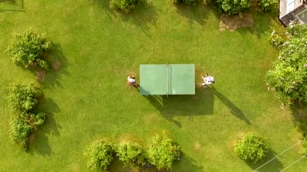 Aerial View Dad Daughter Playing Ping Pong Green Lawn — Stock Video