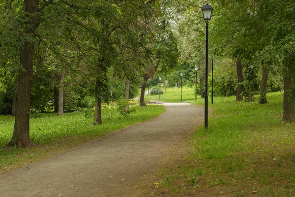 Şehir parkının gölgeli yolu yaz gününde insan olmadan