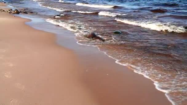 Surf Duże Jezioro Piaszczystej Plaży — Wideo stockowe
