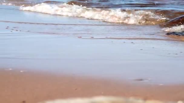 Скользящий Вид Волн Катящихся Диком Пляже Озера Летний День Близко — стоковое видео