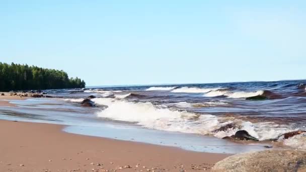 Vista Panorámica Lateral Deslizante Playa Del Lago Con Olas Marea — Vídeos de Stock