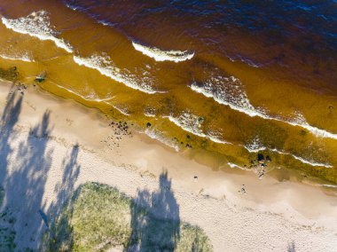 Yazın güneşli bir akşamda kumlu göl manzarası.