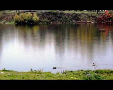 üst üste yağmurda sonbahar Nehri üzerinde ördek