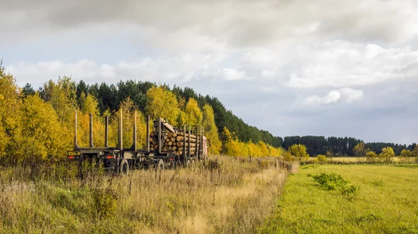 Camion en bois avec bûches sur la route forestière — Photo