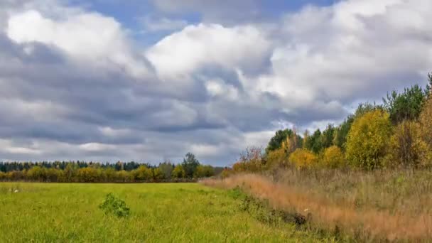 Zeitraffer der Herbstwiese und des bewölkten Himmels — Stockvideo