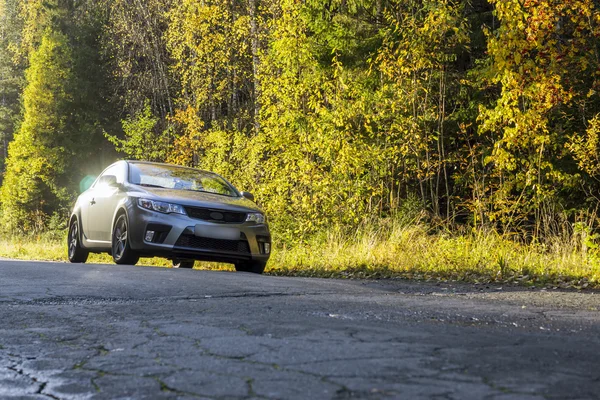 Voiture sur la route forestière en automne — Photo