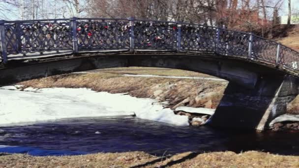 Park river híd panoráma tavasszal — Stock videók
