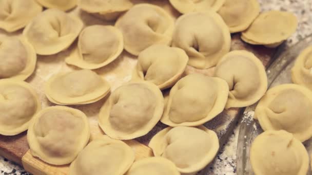 Sibirische Fleischknödel bereit zum Kochen — Stockvideo