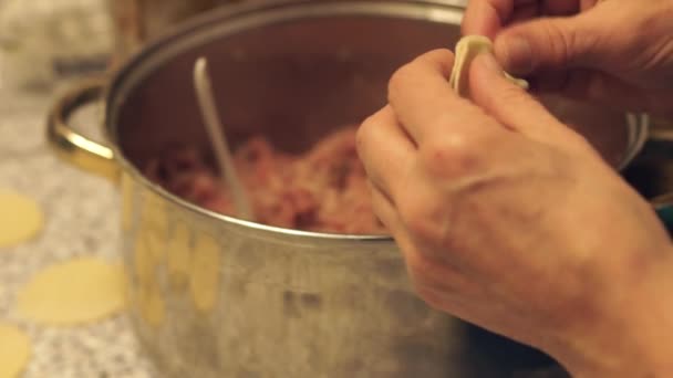 Membuat pangsit daging siberia — Stok Video