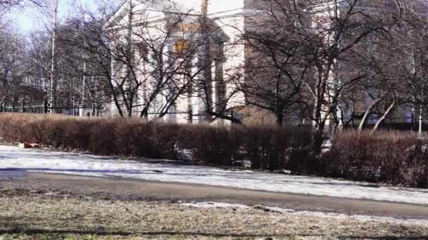 Tilting shot of orthodox church of st. Alexander Nevsky — Stock Video