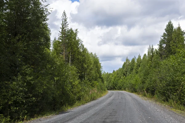 Jalan desa di hutan musim panas yang indah dan liar — Stok Foto