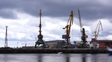 Göl rıhtım ve martılar