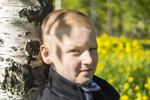 Portrait of young guy under birch — Stockfoto