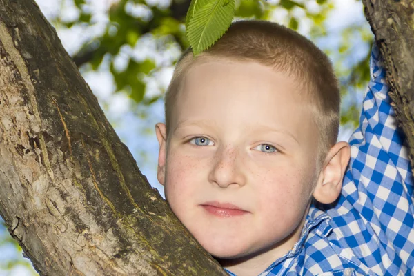 Portrait of a boy in a summer foliage — Stockfoto