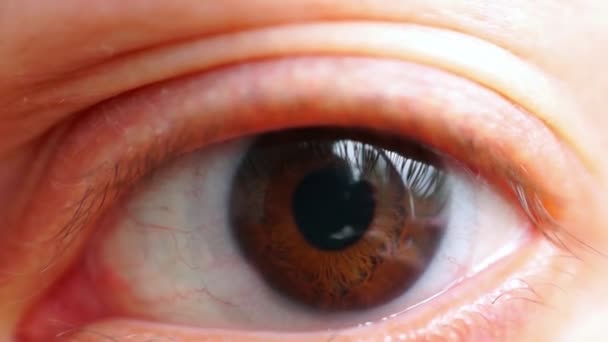 Macro occhio marrone con lente — Video Stock