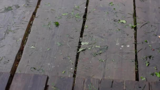 Gotas de lluvia en las tablas del suelo — Vídeo de stock