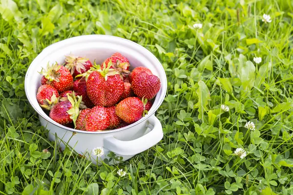 Natural garden strawberry — Stock Photo, Image