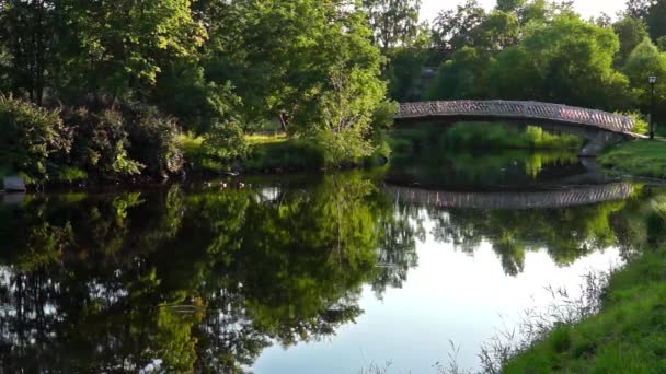 Річковий міст у парку влітку — стокове відео