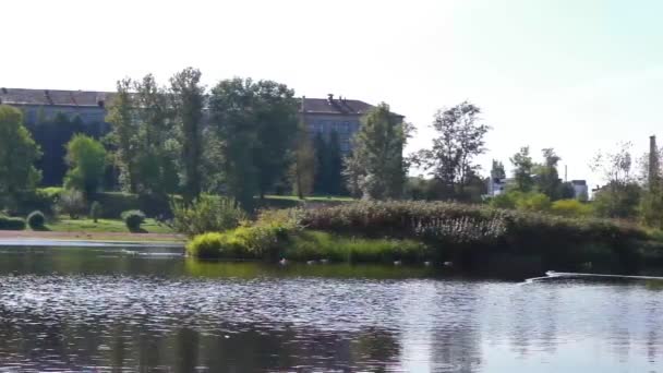 Parque de la ciudad y río — Vídeo de stock