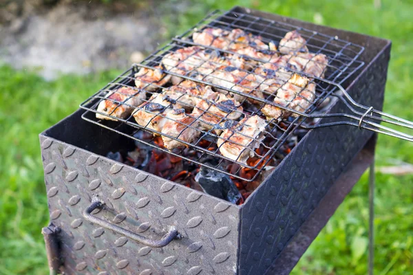 Мясо на шампуре жарить на жаровне — стоковое фото