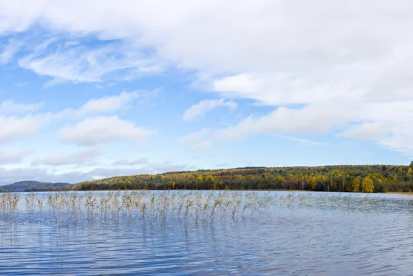 Panorama of wild forest lake in autumn — Stock Photo, Image