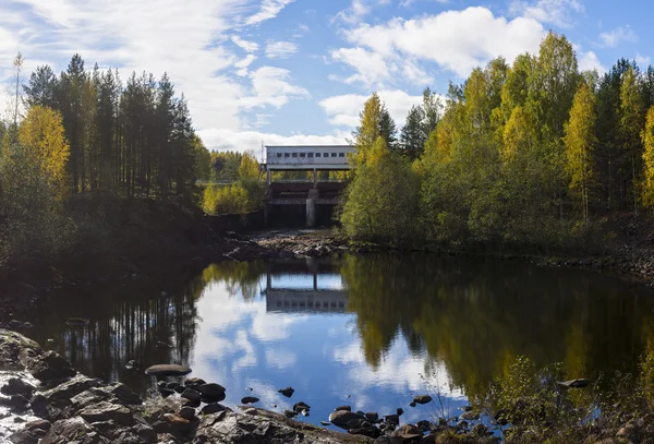 Dam blocked the forest river, pan — Stock Photo, Image