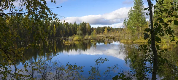 Mooie moeras in noordelijke taiga — Stockfoto