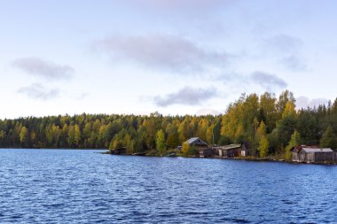 Sonbahar Tayga Riverside'ta çiftlikte