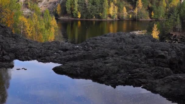 Rivière sauvage dans la forêt en automne incliner vers le haut 