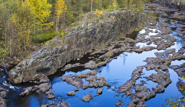 Riverbed di ngarai batu vulkanik di hutan — Stok Foto