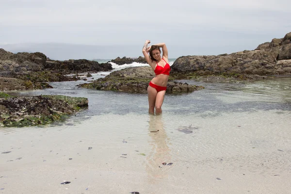 Apreciar la naturaleza junto al mar — Foto de Stock