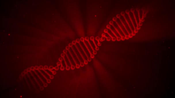 Forgó DNS izzó molekula sötét vörös háttérrel. 3D-s renderelt hurkolható animáció. Genetikai koncepció. 4K felvétel — Stock videók