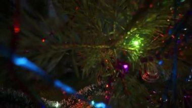 Süslü bir köknar ağacının dalları arasında.