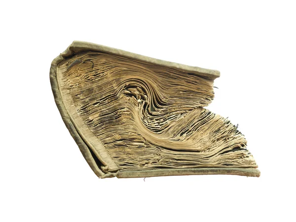 Beyaz arkaplanda izole edilmiş eski kitap