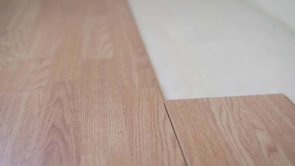 Installation of laminate under a tree. Parquet in oak color. Easy and quick installation of the flooring - connecting laminate locks - DIY floating floor — Stock Footage Installation Laminate Tree Parquet Oak Color Easy Quick Installation Flooring Royalty Free Stock Footage