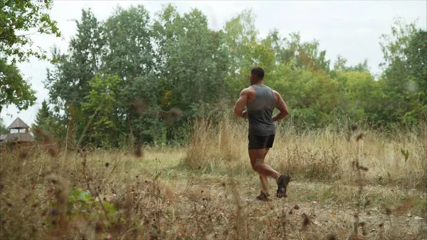 Running through the morning forest. The guy is running through the forest. The athlete runs.