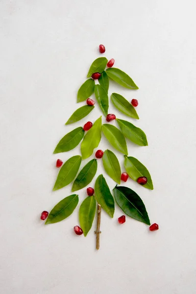 Αφηρημένη Chirstmas δέντρο γίνεται fro πράσινα φύλλα και ρόδι, απομονωμένο. Χειμώνας αειθαλές χριστουγεννιάτικο δέντρο. — Φωτογραφία Αρχείου