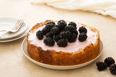 Böğürtlenli peynirli kek. Evde pişirme, kahvaltıda meyveli kek.