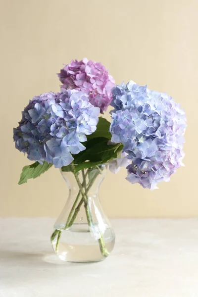 Mavi Ortanca Çiçek Buketi Cam Vazoda Soyut Gebe Kalma Kartı — Stok fotoğraf