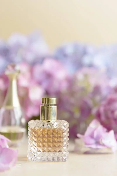 Parfümflasche Und Lebende Rosa Und Blaue Hortensien Hintergrund Schönheit Und — Stockfoto